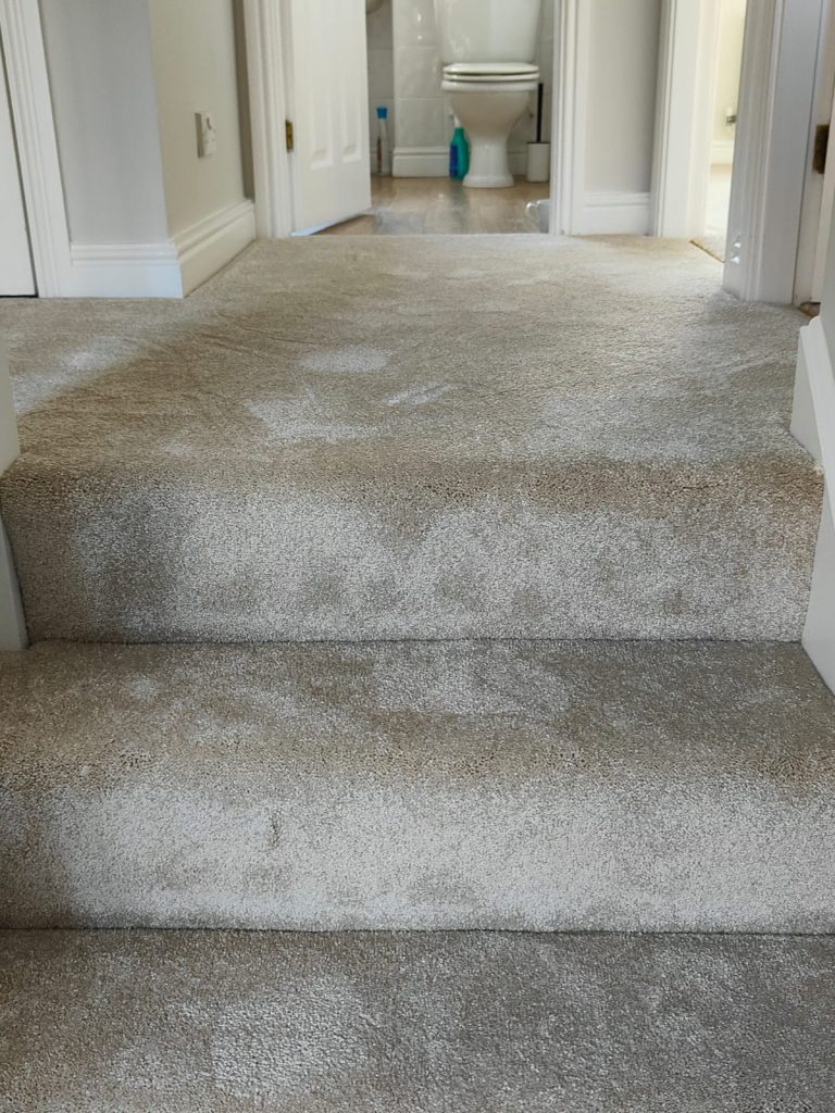 20250416_140249000_iOS 2