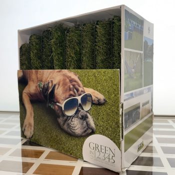 20250609_095923685_iOS